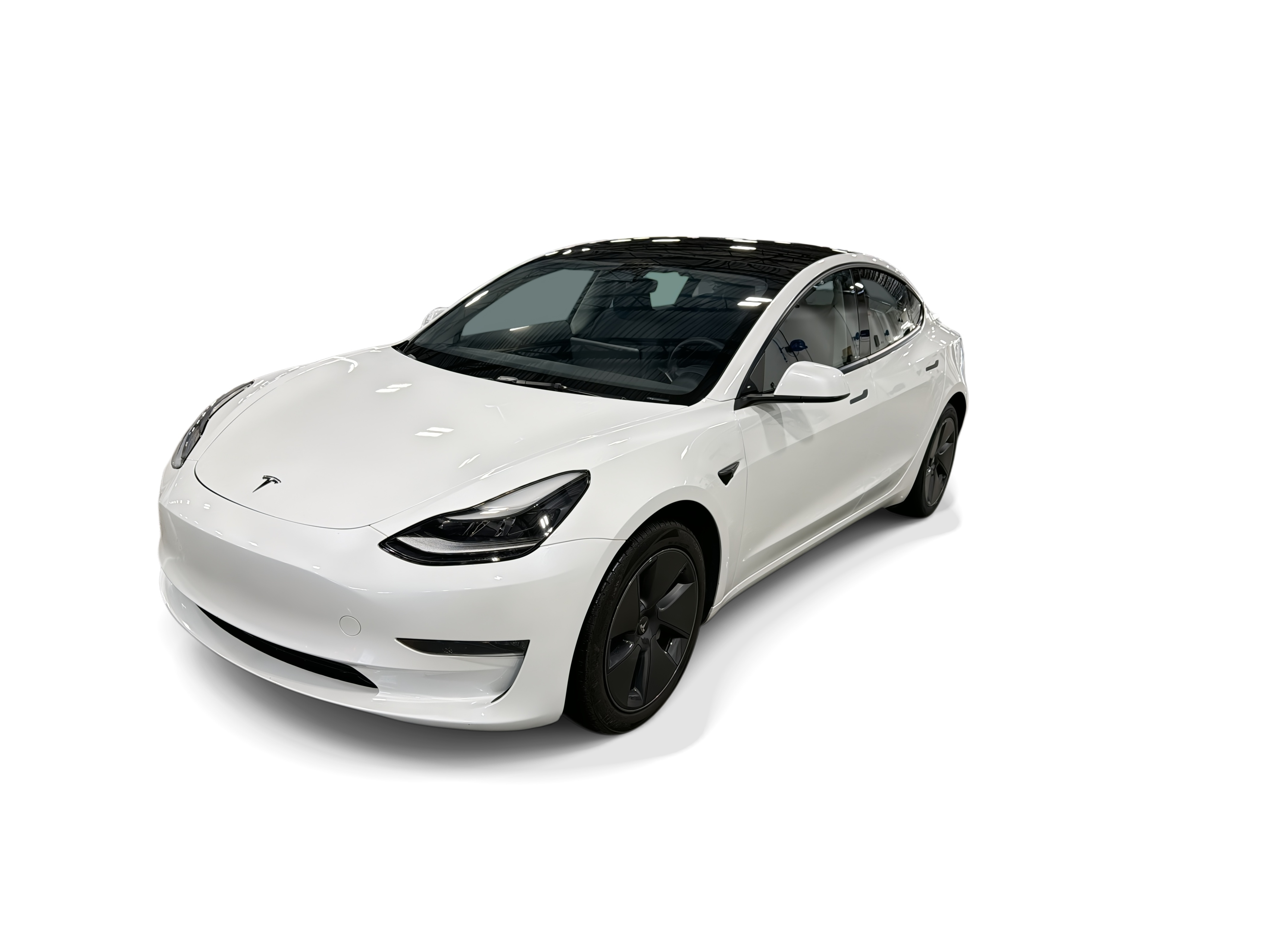 tesla model 3 2023 5YJ3E1EA3PF592351 image tesla model 3 2023 5YJ3E1EA3PF592351 image